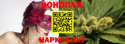 амф Новокубанск