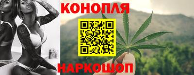 spice Новозыбков